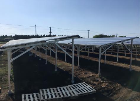 1.2MW-Farm PV System